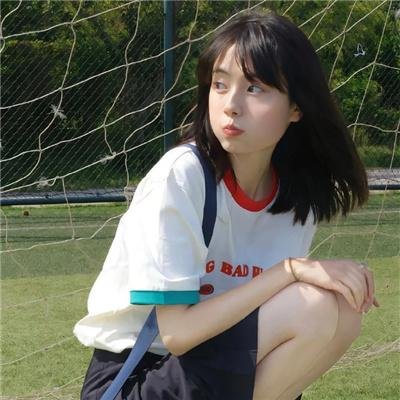狐狸捕手